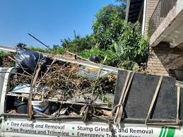 Same-Day Junk Removal Services in Honeyville, UT